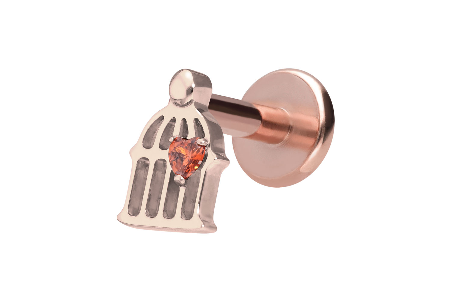 Titan Labret Piercing mit Innengewinde KÄFIG